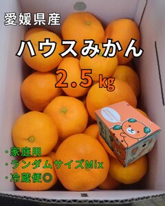 os愛媛県産ハウスみかん2.5㎏みきゃん箱入家庭用ランダムMix　安心冷蔵便②