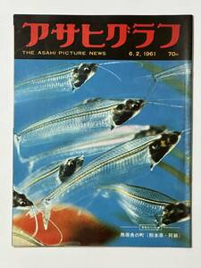 アサヒグラフ 1961（昭和36）年6月2日 韓国 5.16軍事クーデター 朴正熙　顔振峠 内山雨海　熊本阿蘇 熱帯魚の町 樋口一葉記念館 鎌倉無縁仏