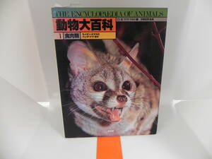 動物大百科　食肉類　ライオン・オオカミ・パンダ・クマほか　平凡社　LYO-4.211019