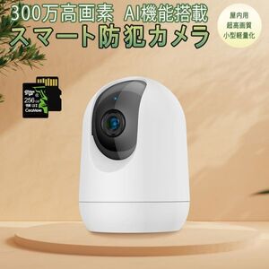 防犯カメラ 屋内用 ワイヤレス PK323 300万高画質 SDカード256GB同梱 ONVIF AI人体追跡 動体検知 PSE 技適「PK323/SD256.A」