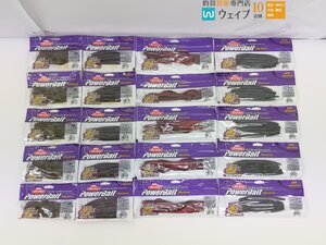 バークレイ パワーベイト マックスセント クリーチャーホッグ 4インチ グリーンパンプキン・ジェネラル 6インチ 他 計20点 新品