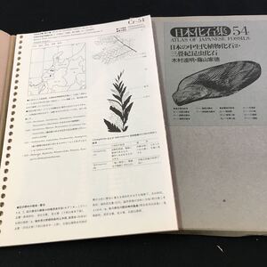 M5e-152 日本化石集54 日本の中生代植物化石2・三畳紀昆虫化石 木村達明・藤山家徳 第3期総目次 第56集-南九州の新第三紀貝化石-首藤次男 