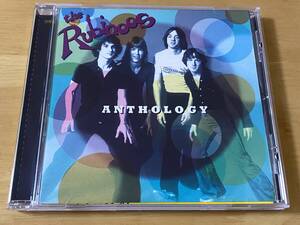 The Rubinoos Anthology 輸入盤CD 検:ルビナーズ Best Punk Power Pop I Wanna Be Your Boyfriend Elvis Costello Firestarter Supersnazz 