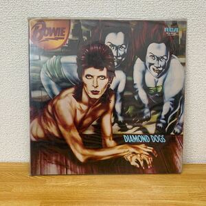 Bowin Diamond Dogs レコード