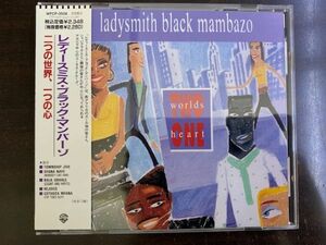 レディスミス・ブラック・マンバーゾ Ladysmith black mambazo 南アフリカ ズール族 コーラス 国内盤・帯付き WPCP-3506 / 4988014735063