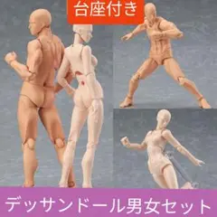 デッサンドール 男女セット台座付き 人形人体 模型 フィギュア新品、未使用