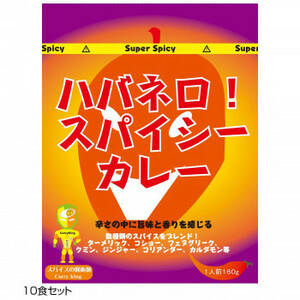 ご当地カレー ハバネロスパイシーカレー 10食セット