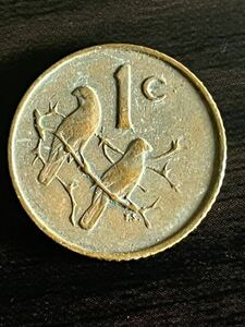 南アフリカ 1セント 硬貨/1966年　鳥/コイン/古銭/硬貨/海外通貨/希少/レア/アンティークコイン