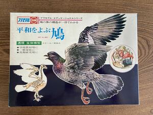 (D-17)(未組立品) マルサン 平和をよぶ鳩 透視 生態模型 実物大 プラモデル