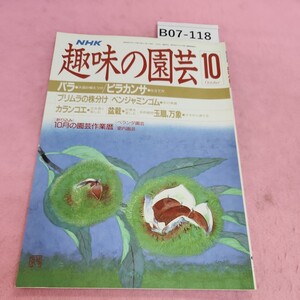 B07-118 NHK 趣味の園芸 バラ ピラカンサ プリムラ ベンジャミンゴム 昭和63年10月号 シミ汚れあり。