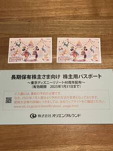 東京ディズニーリゾート株主用パスポート　2枚セット②　有効期限2025年1月31日 送料無料