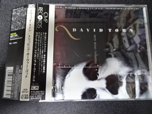 DAVID TORN（デヴィッド・トーン）「TRIPPING OVER GOD」1995年日本盤帯付JICK-89747