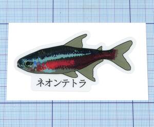 ★★ ネオンテトラ(Neon Tetra)のステッカー ★★ 日本語Ver.　 左右約7.8cm×天地約3.8cm 