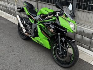 カワサキ Ninja250SL レアな後期型緑フレームKRTカラー 2020年式 カスタム多数 38,782km 調子良いです 現車確認歓迎 配送可 Ninja250 MC41