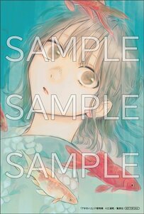 配布品　アオのハコ　17巻　アニメイト　特典　※イラストカード＋ペーパークラフトのみ※【24年10月 三浦糀 ジャンプコミックス】