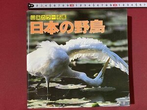 ｃ◆**　山溪カラー名鑑　日本の野鳥　1991年2版12刷　山と渓谷社　/　M1