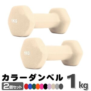 未使用 ダンベル 1kg 2個セットカラーダンベル 鉄アレイ ダンベル コンパクト おしゃれ かわいい カラフルダンベル エクササイズ 筋トレ