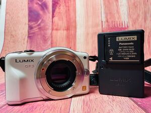 Panasonic パナソニック LUMIX GF3 ミラーレス ボディ