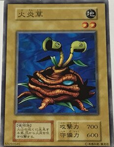 遊戯王 初期 ノーマル 通常モンスター 1枚 火炎草