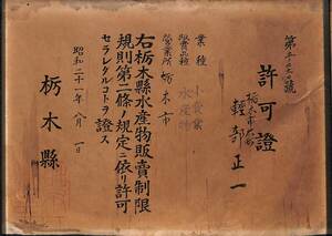 栃木県 水産物販売許可証　昭和21年(1946)　軽部正一／古文書【24-0412-53】