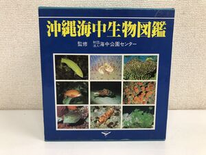 新星図鑑シリーズ　沖縄海中生物図鑑／全11巻／全巻セット