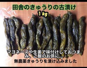 13.きゅうり 塩漬け 古漬け 1キロ 野菜 漬物 無添加 発酵食品