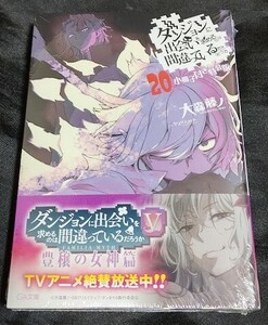 新品未開封 ダンジョンに出会いを求めるのは間違っているだろうか 20 巻 小冊子付き 特装版 原作小説 最新刊 2024/12/17 発売