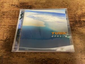 TUBE CD「ゆずれない夏」チューブ★