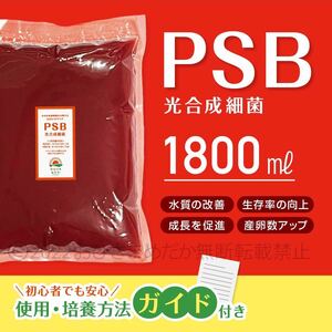 【PSB　光合成細菌　1800ml】メダカ 青水　針子　ミジンコ　ゾウリムシ培養　バクテリア　生クロレラ　金魚 　針子メダカ卵稚魚　めだかに