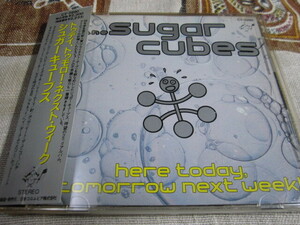 再生確認済み　送料込み the sugar cubes / here today tommorrow next week! シュガーキューブス　日本盤　帯あり bjork ビョーク