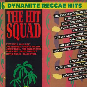 英LP Various Hit Squad - 16 Dynamite Reggae Hits TRLS231 TROJAN /00260