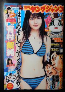 ★週刊ヤングジャンプ 2011年1/1 1号★有村架純、高田里穂、渡辺麻友★