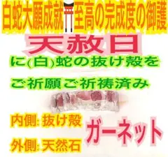 3〜27号❤️第1チャクラ✨蛇の抜け殻✨白蛇の指輪お守り【天赦日ご祈祷済】石外BA