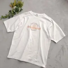 【タイムリーワーニング】(M)　Tシャツ　Daydream believer