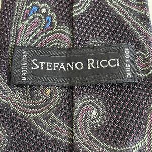 STEFANO RICCI【ステファノリッチ】 ダークパープルペイズリー柄ネクタイ