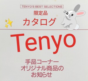 【★ テンヨー Tenyo ディーラーオリジナル 商品カタログ マジック 手品 廃盤！★】 