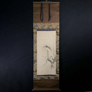 【模写】『水戸光圀公』筆（伝来）/紙本掛軸 肉筆日本画 “白梅鳩図”　＜231101002＞
