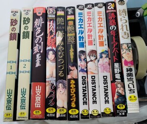 11冊セット●山文京伝●砂の鎖●みやびつづる●艶母●DISTANCE●星野竜一●神楽ゆういち●管理番号M104-11