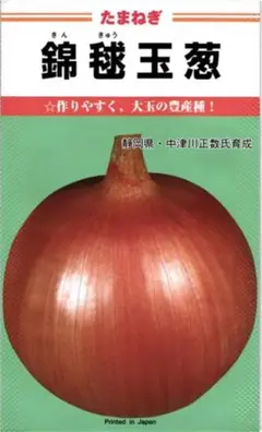 錦毬　タマネギの種　約600粒