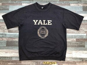 UT UNIQLO ユニクロ メンズ YALE プリント カレッジ 裾リブ 半袖Tシャツ 大きいサイズ XL 紺