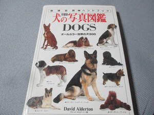 犬の写真図鑑DOGS