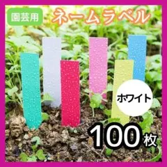 園芸ラベル   多肉植物　 ネームプレート 　ガーデニング 名札　 ホワイト1A