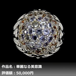 【送料無料】5.00ct 天然サファイア&タンザナイト K14WG仕上リング 14号｜作家モノ｜本物保証｜日宝協鑑別対応