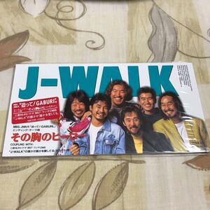 その胸のヒーロー／J-WALK