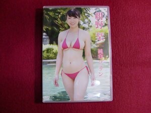 ■紺野栞/純白プリン [DVD]