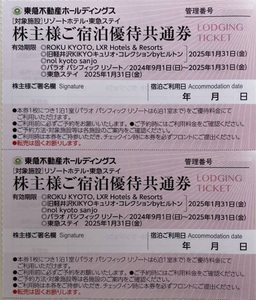 東急不動産 ご宿泊優待共通券 4枚セット リゾートホテル 東急ステイ パラオ ROKU KYOTO 旧軽井沢KIKYO 株主優待 2025年1月31日まで