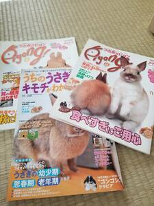 送料無料　即決　うさぎ　うさぎ本　飼育