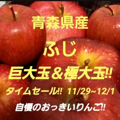 ★期間限定★青森県産 ふじ りんご 巨大＆極大玉 6~8玉 ⑰