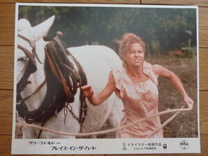 【映画 ロビーカード】プレイス・イン・ザ・ハート/Places in the heart ロビーカード4枚セット サリーフィールド/LOBBY CARD Sarry Field 