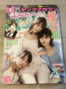 2020/1/1　1号　週刊ヤングマガジン　欅坂46　菅井友香　渡邉理佐　小林由依　山口はのん　鈴木ユリア　乙顔聖加　福江菜々華　林ゆめ